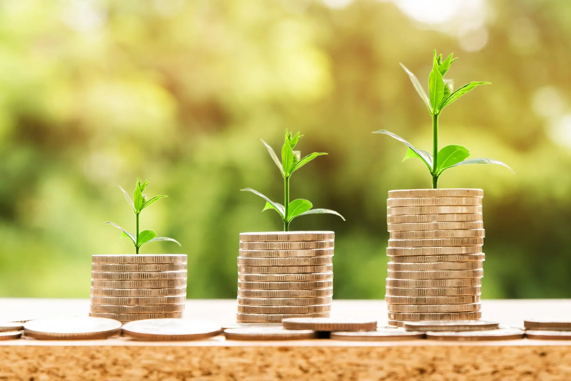How to Earn Passive Income From Vacation Properties in Blue Ridge, GA