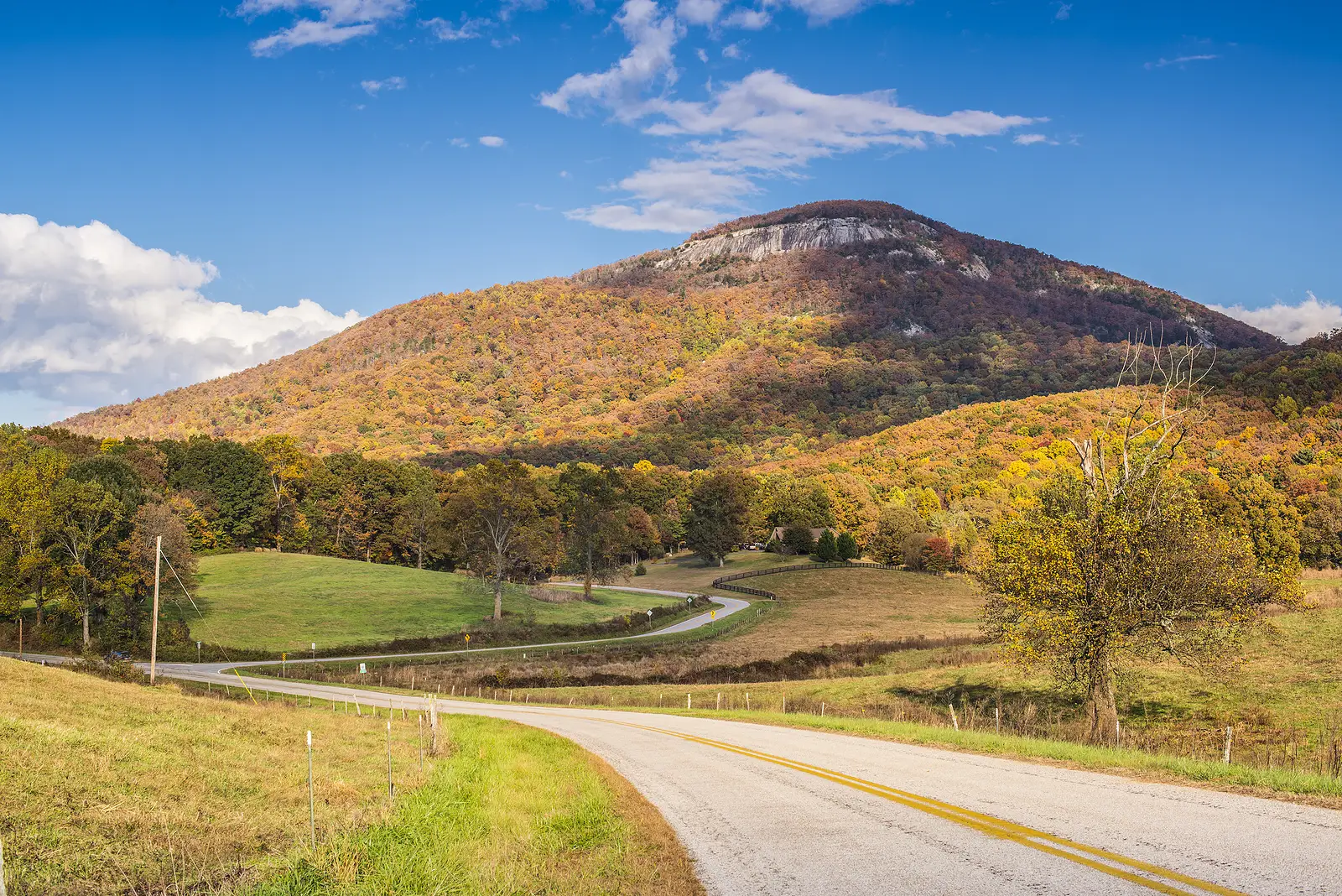 Smart Hosting Strategies to Boost Your Blue Ridge Vacation Rental